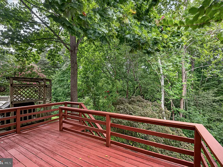 14560 Creek Branch Ct — Photo 7