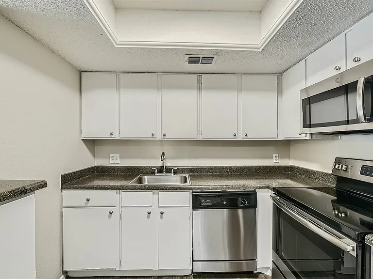 Rise Spring Pointe — Photo 101