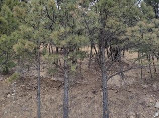123 Deer Valley Dr, Alto, NM 88312