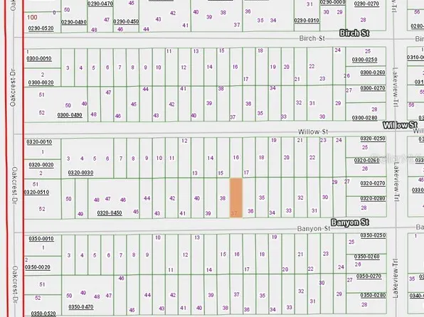 0 Banvon St #37-38, Interlachen, FL 32148
