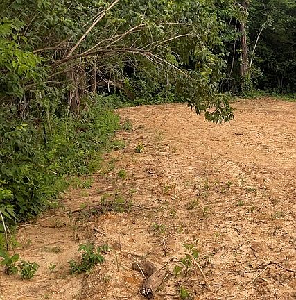 3rd image of Robert E Lee Dr