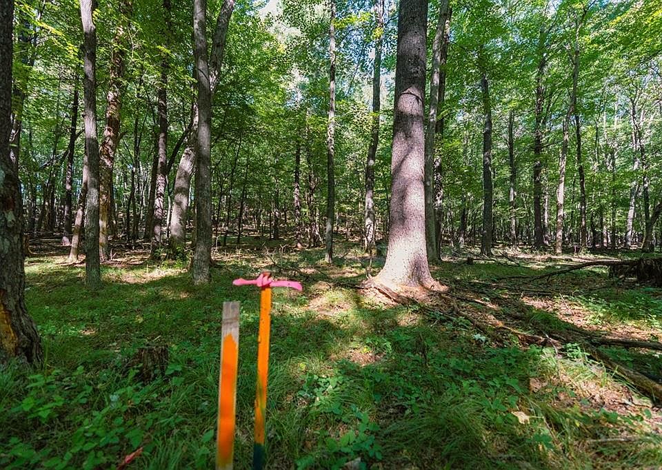 1st image of Lot3 815th Avenue