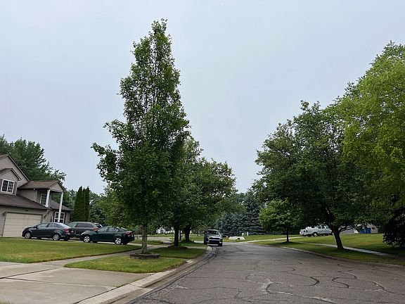 4th image of 7296 Feather Ln