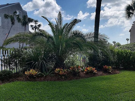 Front yard