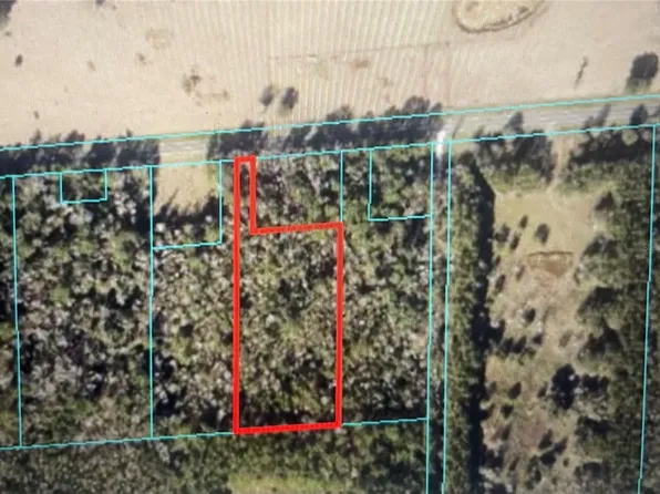 11330 W Highway 318, Reddick, FL 32686