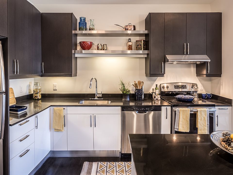 Sleek, modern European-style kitchen cabinets