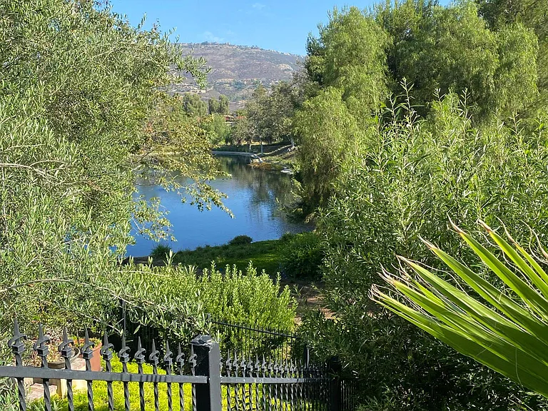 Backyard View