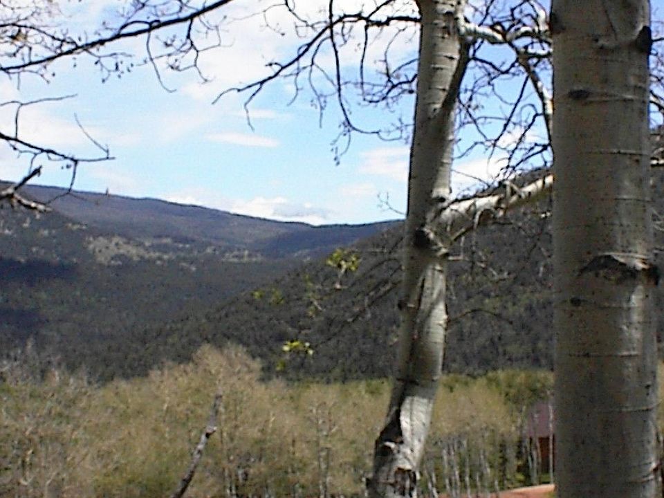 2nd image of TBD Aspen Cir Lot 67