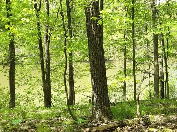 1835 Tanglewood Dr, Varna, IL 61375