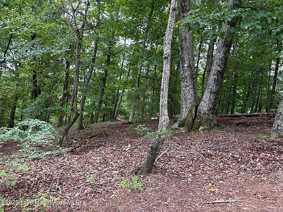 4th image of 148 Eagle Rdg