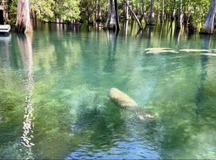 1188 SW Riverside Ave, Fort White, FL 32038