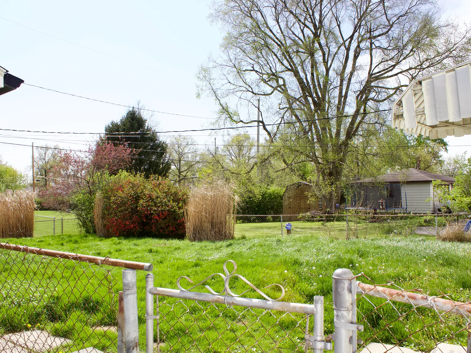 3 bed, 925 sqft, $1,750 — Photo 3