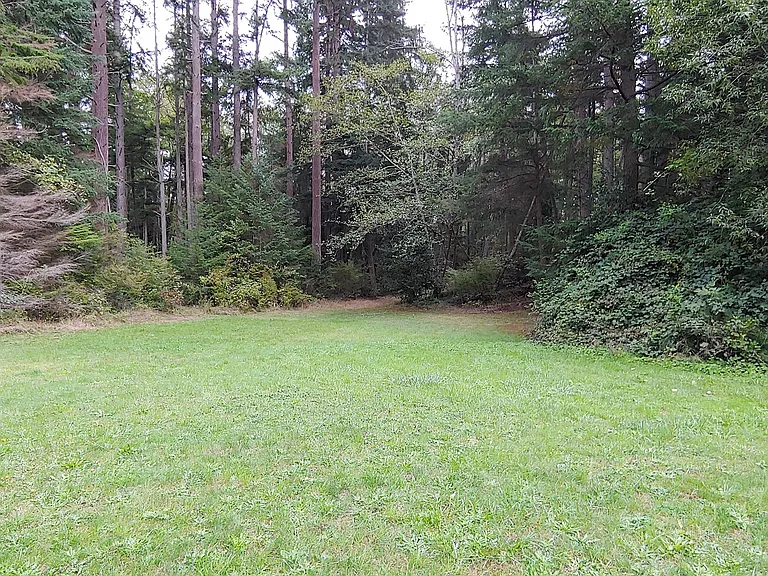 925 Classic Rd — Photo 23