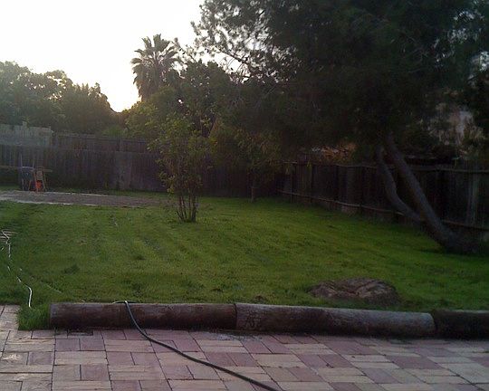 backyard before drought