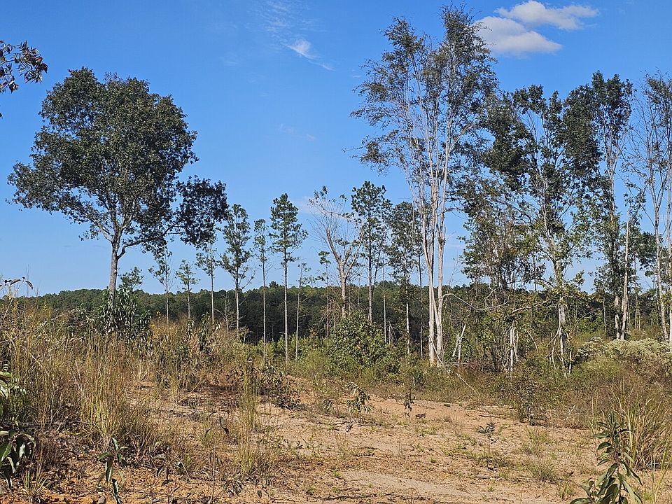 Some larger trees were retained during the harvest. Some of these can produce mast (seed) for different species of wildlife.