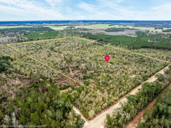 2 Pilgrim Church Rd, Gordon, AL 36343