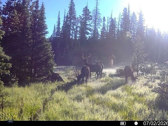 5th image of 7379 Hahn Creek Rd