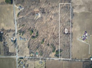 PARCEL W Grant Rd #D, New Era, MI
