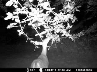 719 Cannon Corners Rd, Mooers Forks, NY 12959