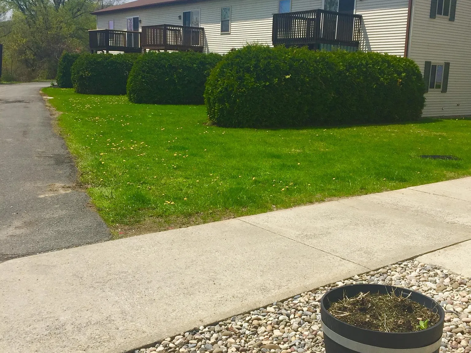 2 bed, 980 sqft, $1,100 — Photo 1
