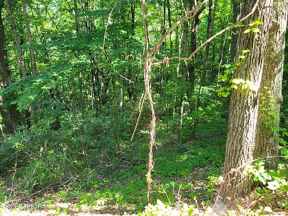 2nd image of LOT 20 Sunset Dr