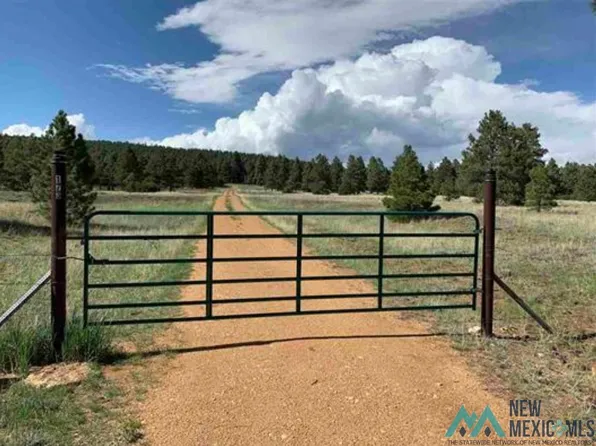 La Rama Road Cres #13, Buena Vista, NM 87712
