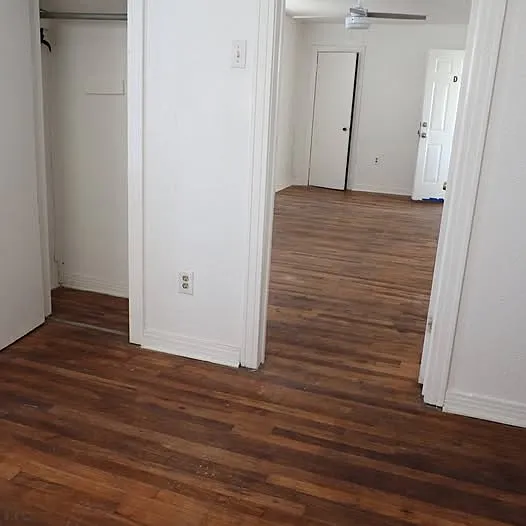 203 Cherry St #D — Photo 5