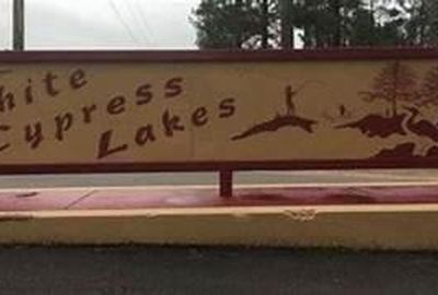 LOT 19 Lake Cypress Dr, Perkinston, MS, 39573