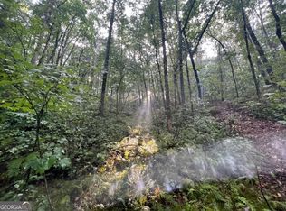 0 Adrianne Ln, Dawsonville, GA 30534