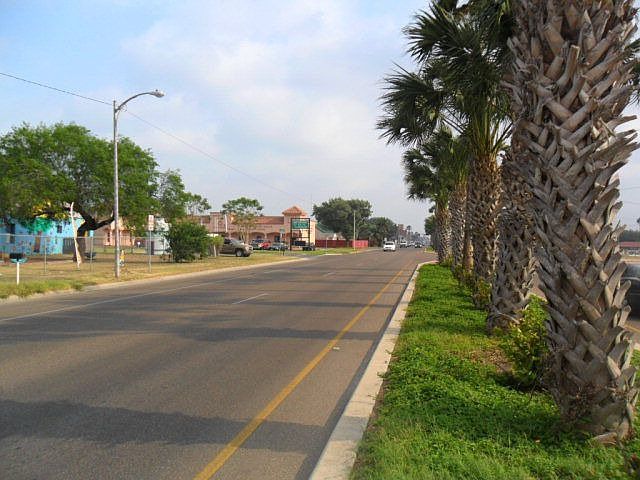 Looking North