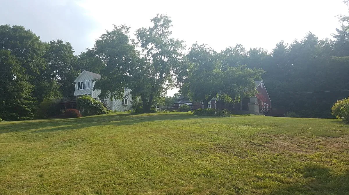1 bed, 620 sqft, $1,500 — Photo 1