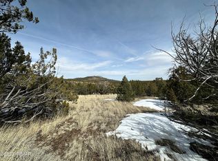 6 County Rd, Vernon, AZ 85940