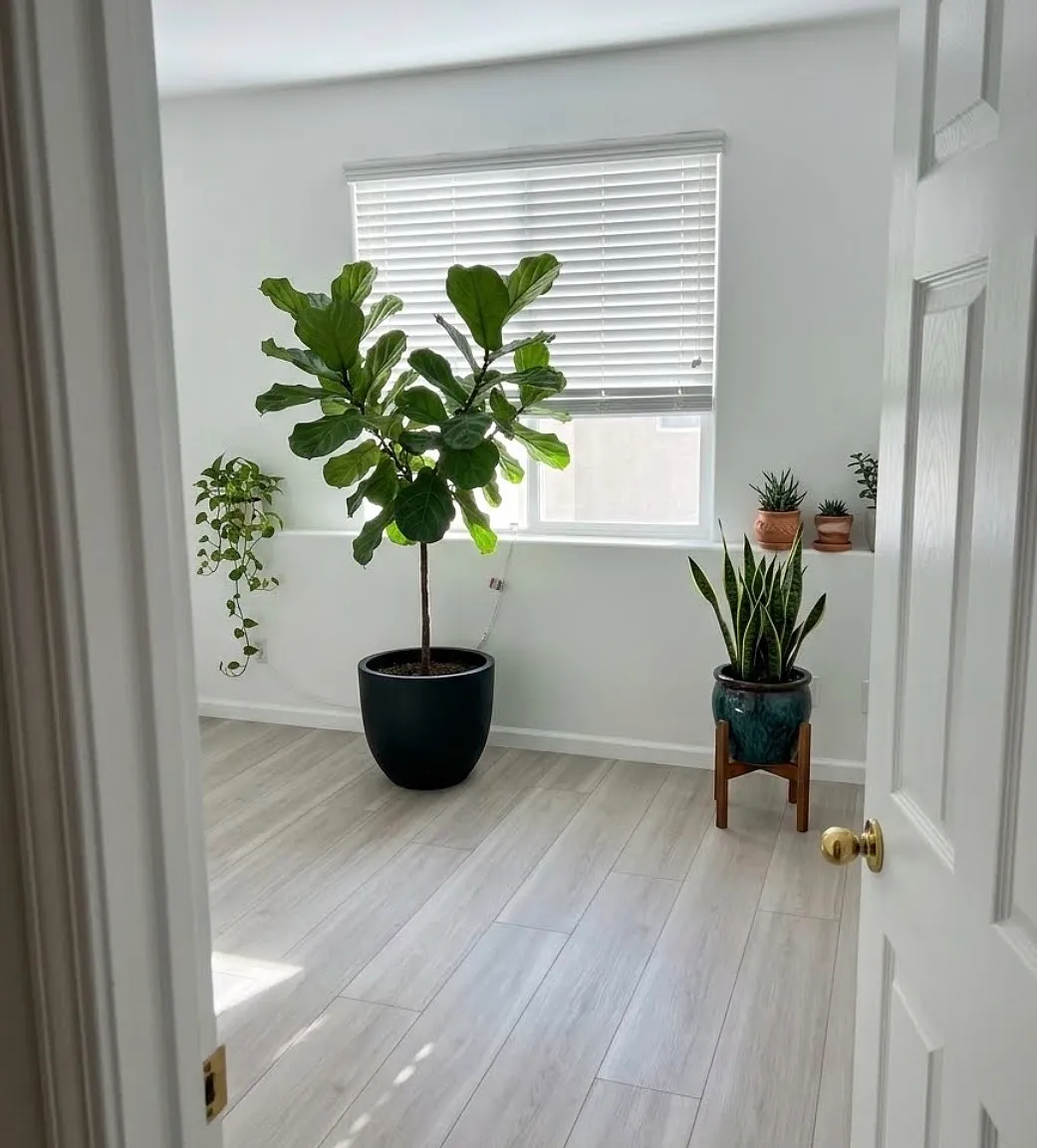 5 bed, 2500 sqft, $3,500 — Photo 2