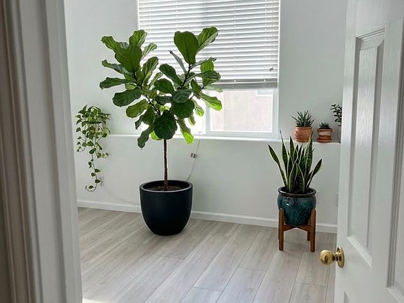 2nd image of 9405 Silver Bridle Way