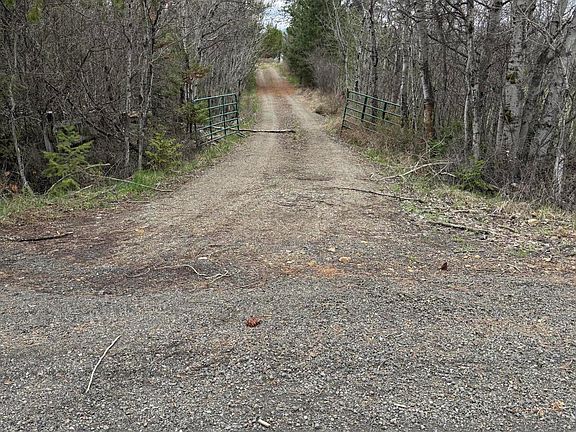 4th image of 7971 Windfall Pass Rd