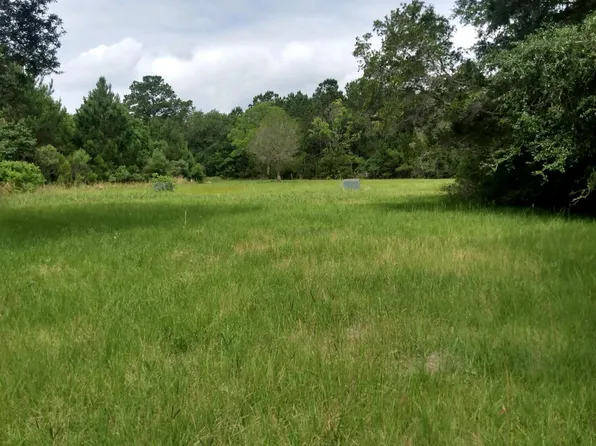 264 Island Flats Ln, Green Pond, SC 29446