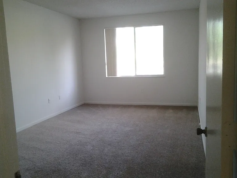 The Mirage Apartments — Photo 124