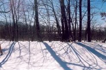 Lt2 Miller Cir, Adell, WI, 53001