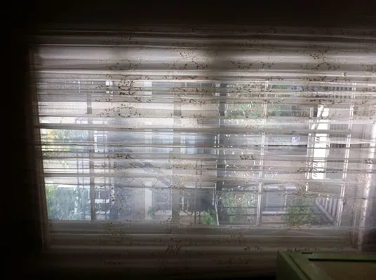 Rented by Downtown Realty Group LTD | media 20