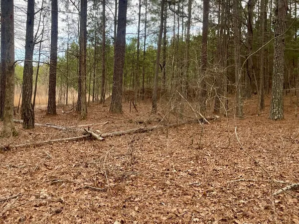 0 Padgett Rd #3, Senoia, GA 30276