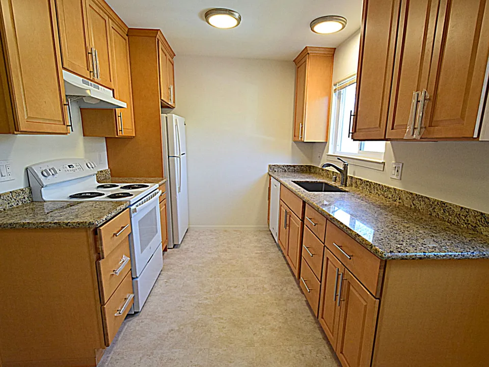 Brand New Kitchen Features