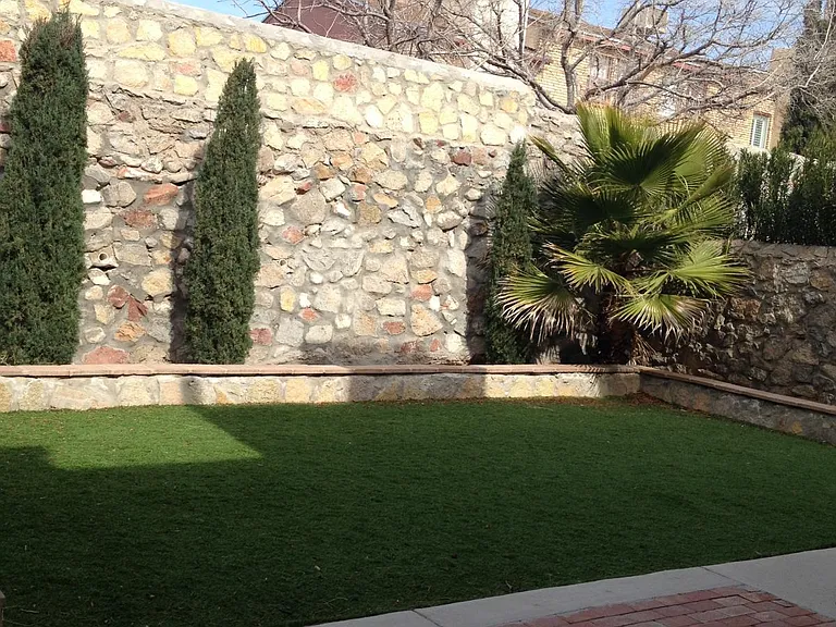 Backyard View 1