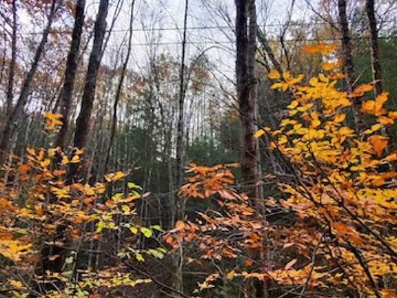 4th image of 00 Concord Road