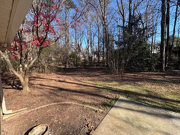 Huge back yard - looking left out of living room door.