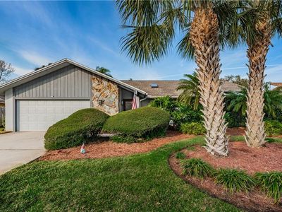 7332 Rosetree Pl E, Seminole, FL, 33772