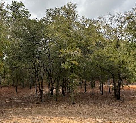5th image of 2816 Territory Rd