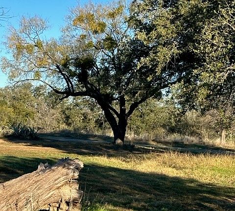 5th image of 227 County Road 313