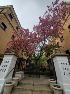 726 W Sheridan Rd APT 3N, Chicago, IL, 60613