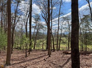 17.22 Padena Dr, Morganton, GA 30560