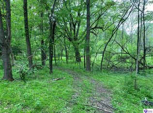 653 Boone Rd, Rineyville, KY 40162